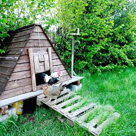Farrington Farm Boutique Camping * 布里斯托