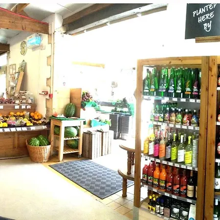 Farrington Farm Boutique Camping 布里斯托