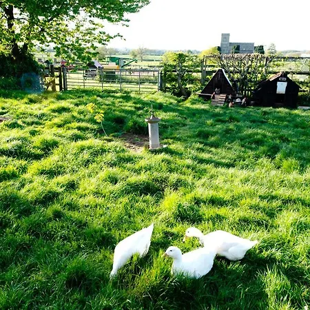Farrington Farm Boutique Camping 豪华帐篷